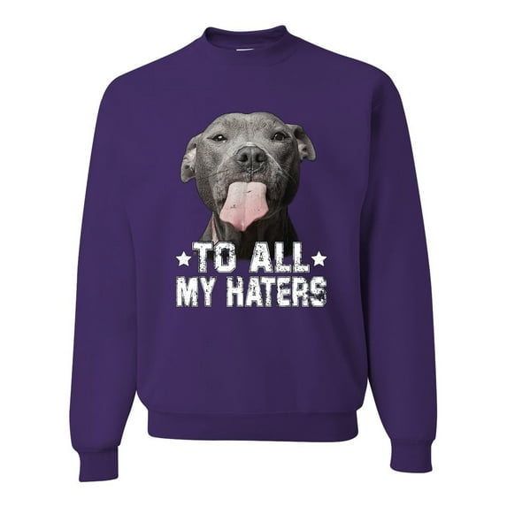 Wild Bobby, Pitbull to all the Haters Funny, Animal Lover, Unisex Crewneck Graphic Sweatshirt, Purple, X-Large