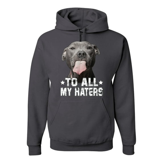 Wild Bobby, Pitbull to all the Haters Funny, Animal Lover, Unisex Graphic Hoodie Sweatshirt, Charcoal, Large