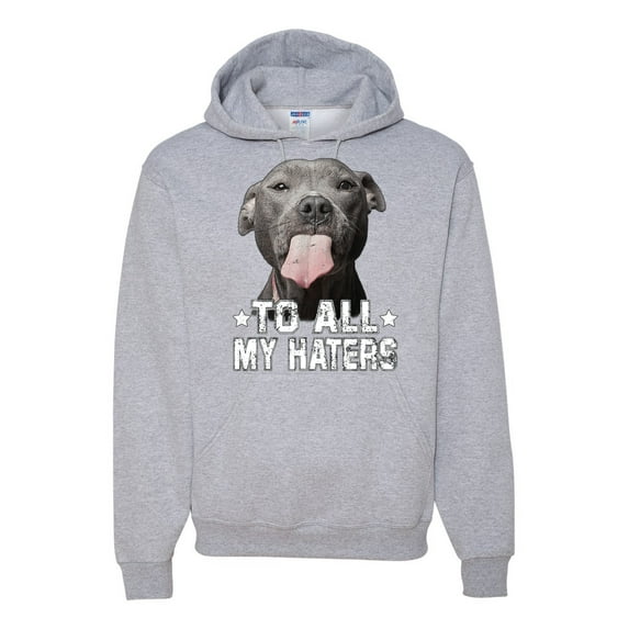 Wild Bobby, Pitbull to all the Haters Funny, Animal Lover, Unisex Graphic Hoodie Sweatshirt, Heather Grey, Small