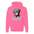 thumbnail image 1 of Wild Bobby, Pitbull to all the Haters Funny, Animal Lover, Unisex Graphic Hoodie Sweatshirt, Neon Pink, Small, 1 of 4