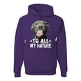thumbnail image 1 of Wild Bobby, Pitbull to all the Haters Funny, Animal Lover, Unisex Graphic Hoodie Sweatshirt, Purple, XX-Large, 1 of 4