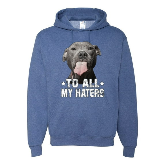 Wild Bobby, Pitbull to all the Haters Funny, Animal Lover, Unisex Graphic Hoodie Sweatshirt, Vintage Heather Blue, 3X-Large