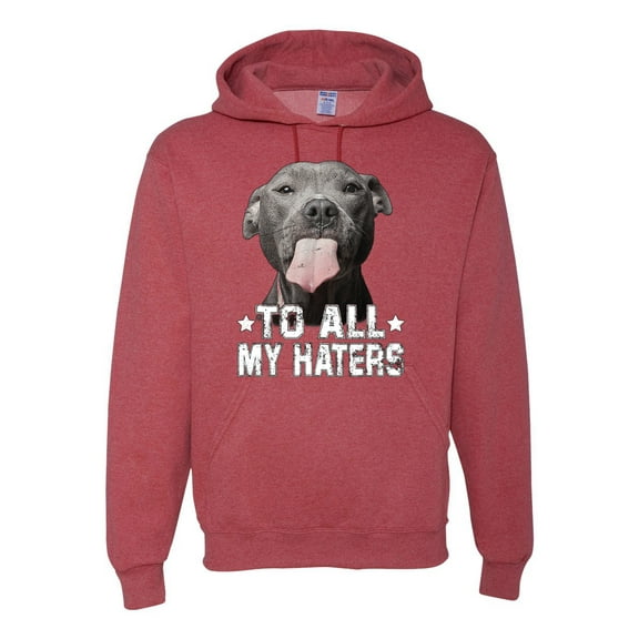 Wild Bobby, Pitbull to all the Haters Funny, Animal Lover, Unisex Graphic Hoodie Sweatshirt, Vintage Heather Red, Medium