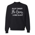 thumbnail image 1 of Wild Bobby Plot Twist He Lives Luke 24:23 Inspirational/Christian Unisex Crewneck Graphic Sweatshirt, Black, X-Large, 1 of 5
