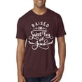 thumbnail image 1 of Wild Bobby Raised on Sweet Tea and Jesus Inspirational/Christian Men Premium Tri Blend Tee, Cardinal, Small, 1 of 5