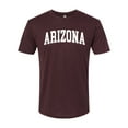 thumbnail image 1 of Wild Bobby State of Arizona College Style Men Premium Tri Blend Tee, 1 of 5