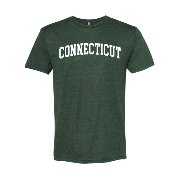 Wild Bobby State of Connecticut College Style Men Premium Tri Blend Tee