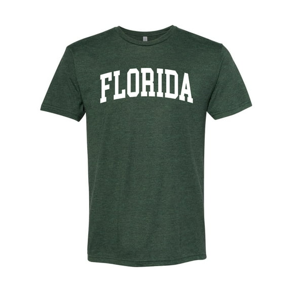 Wild Bobby State of Florida College Style Men Premium Tri Blend Tee