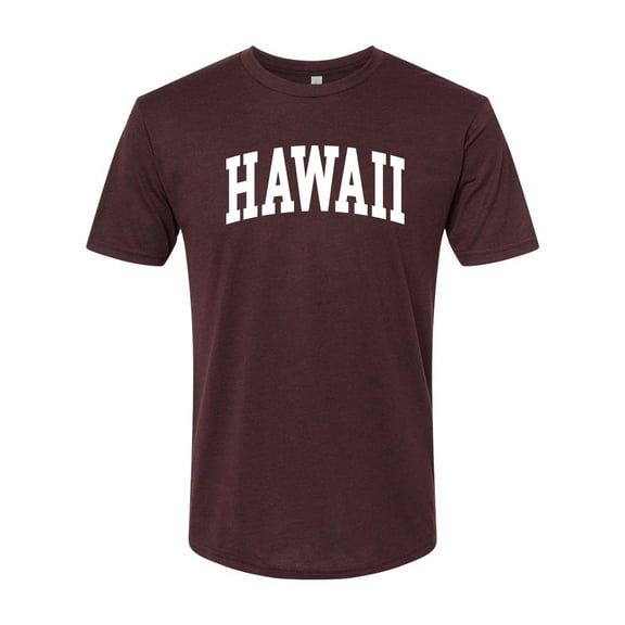 Wild Bobby State of Hawaii College Style Men Premium Tri Blend Tee