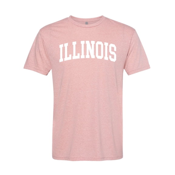Wild Bobby State of Illinois College Style Men Premium Tri Blend Tee