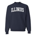 thumbnail image 1 of Wild Bobby State of Illinois College Style Unisex Crewneck Sweatshirt, 1 of 6