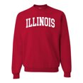 thumbnail image 1 of Wild Bobby State of Illinois College Style Unisex Crewneck Sweatshirt, 1 of 6