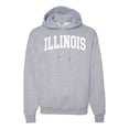 thumbnail image 1 of Wild Bobby State of Illinois College Style Unisex Hoodie Sweatshirt, 1 of 6
