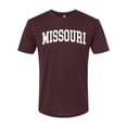 thumbnail image 1 of Wild Bobby State of Missouri College Style Men Premium Tri Blend Tee, 1 of 5