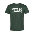 thumbnail image 1 of Wild Bobby State of Texas College Style Men Premium Tri Blend Tee, 1 of 5