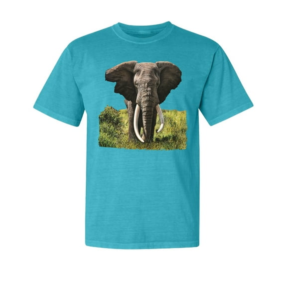 Wild Bobby, Wild African Forest Elephant Nature, Animal Lover, Garment-Dyed Washed Look Short Sleeve T-Shirt, Blue Lagoon, Small