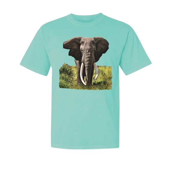Wild Bobby, Wild African Forest Elephant Nature, Animal Lover, Garment-Dyed Washed Look Short Sleeve T-Shirt, Mint, Small