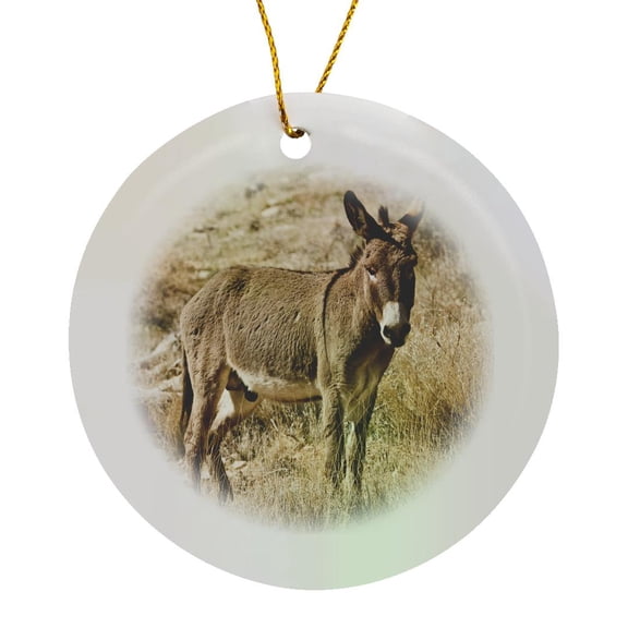 3drose, Wild Burro Standing. Red Rock Canyon Area, Nevada, Usa., Circle Porcelain Ornament