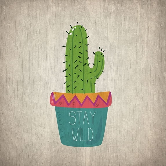 Wild Cactus 1 Poster Print by Allen Kimberly