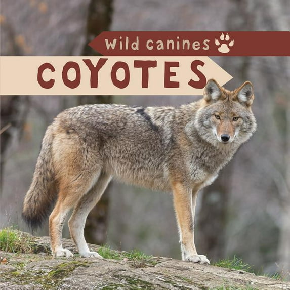 Wild Canines: Coyotes (Paperback)