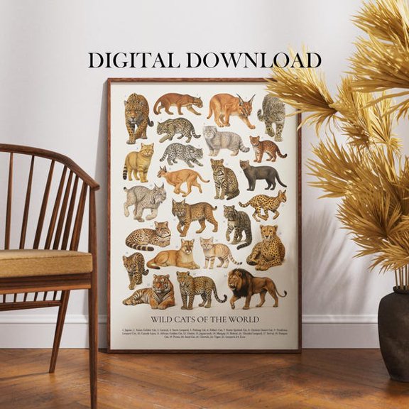 Wild Cats Poster : Retro Animal Illustration Chart, Unframed Paper Poster 8x10in