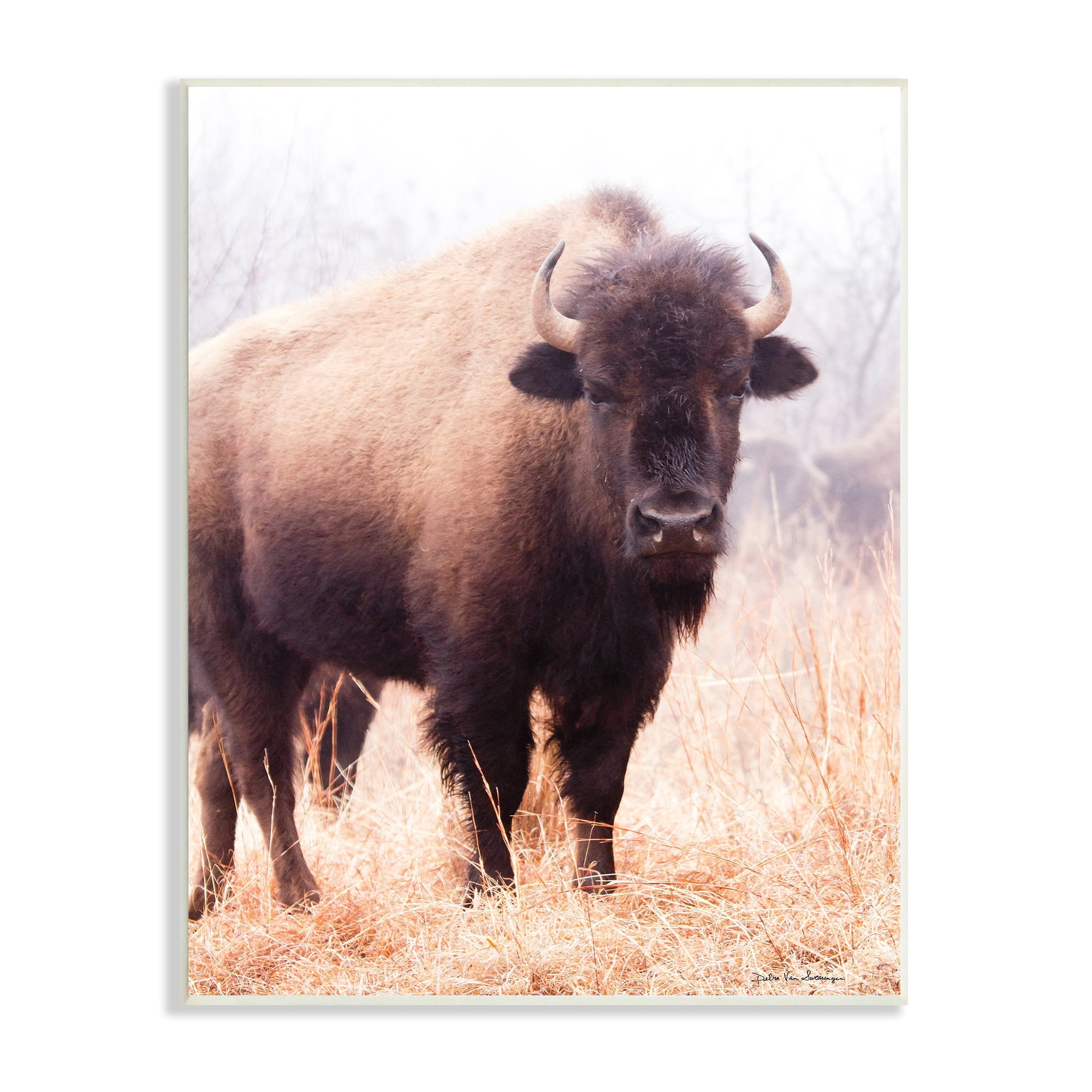 Wild Cattle Bison Grassy Autumn Field Cool Tones 10 in x 15 in Framed Photography Art Print, by Stupell Home Décor