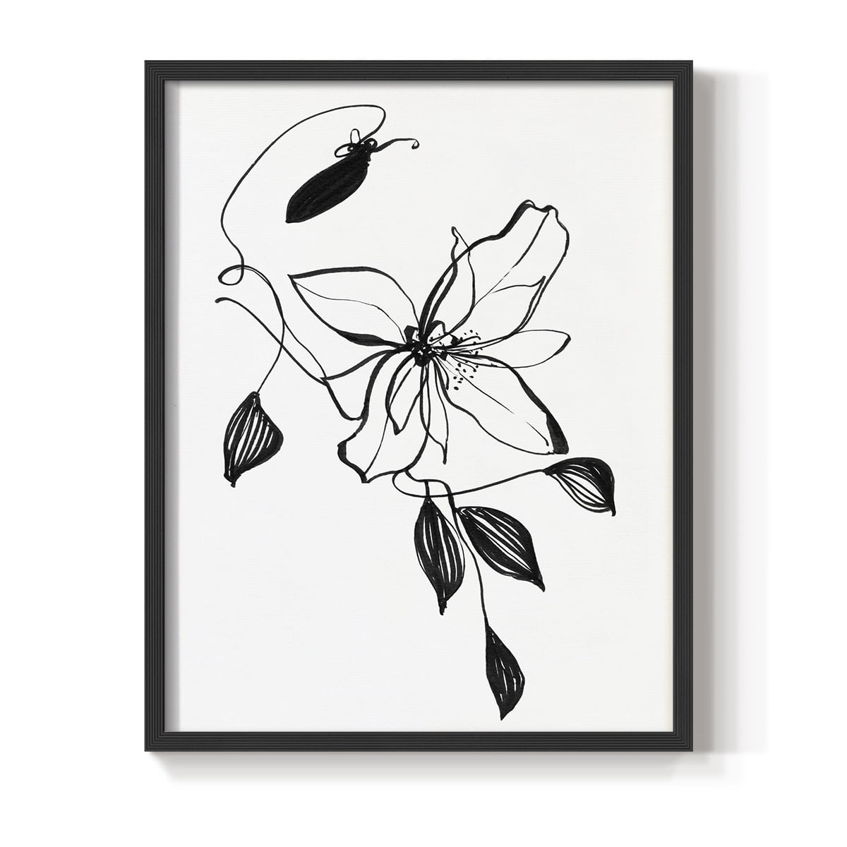 Wild Clematis I Framed Print in Black Solid Wood 22 x 28 Framed Print