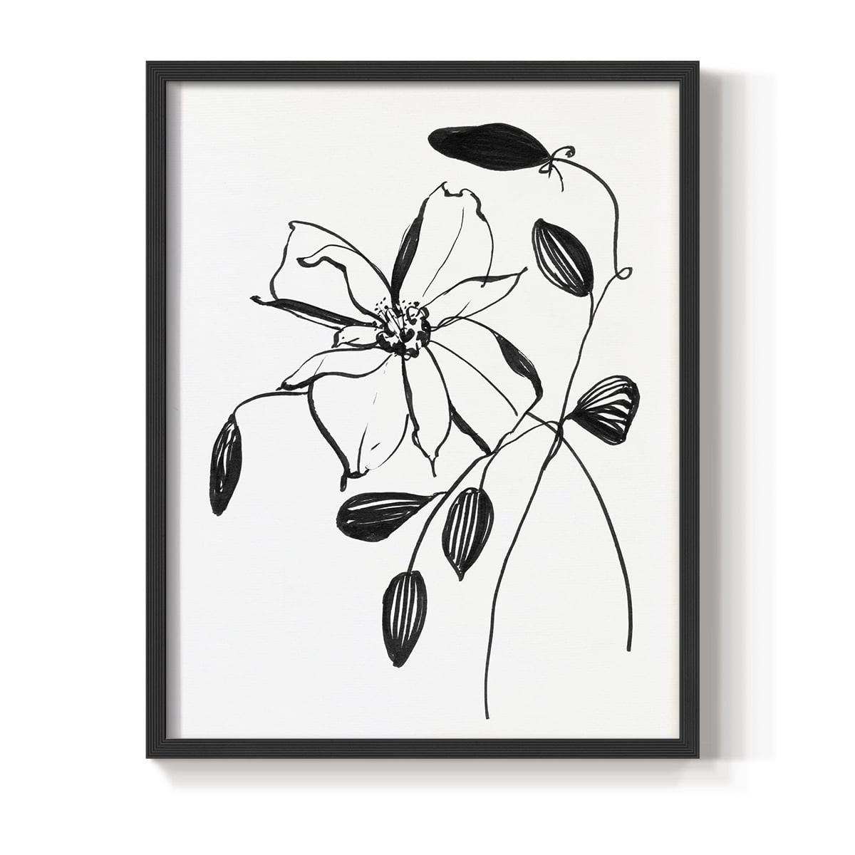 Wild Clematis II Framed Print in Black Solid Wood 11 x 14 Framed Print