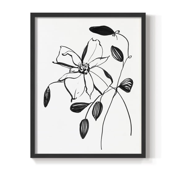 Wild Clematis II Framed Print in Black Solid Wood 22 x 28 Framed Print