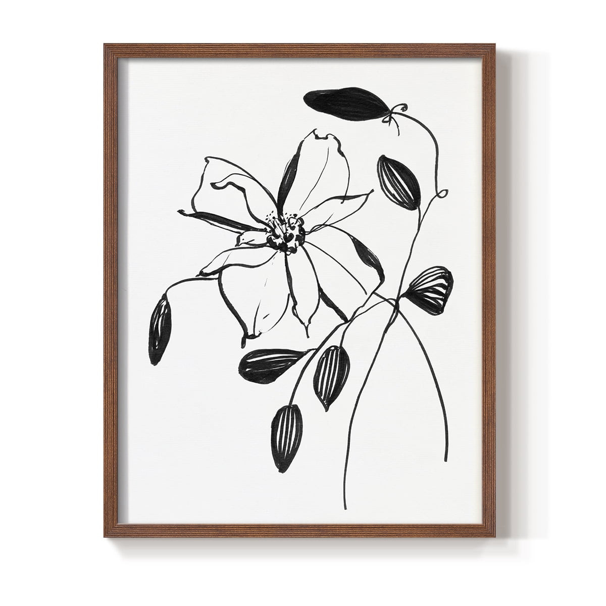 Wild Clematis II Framed Print in Brown Solid Wood 11 x 14 Framed Print
