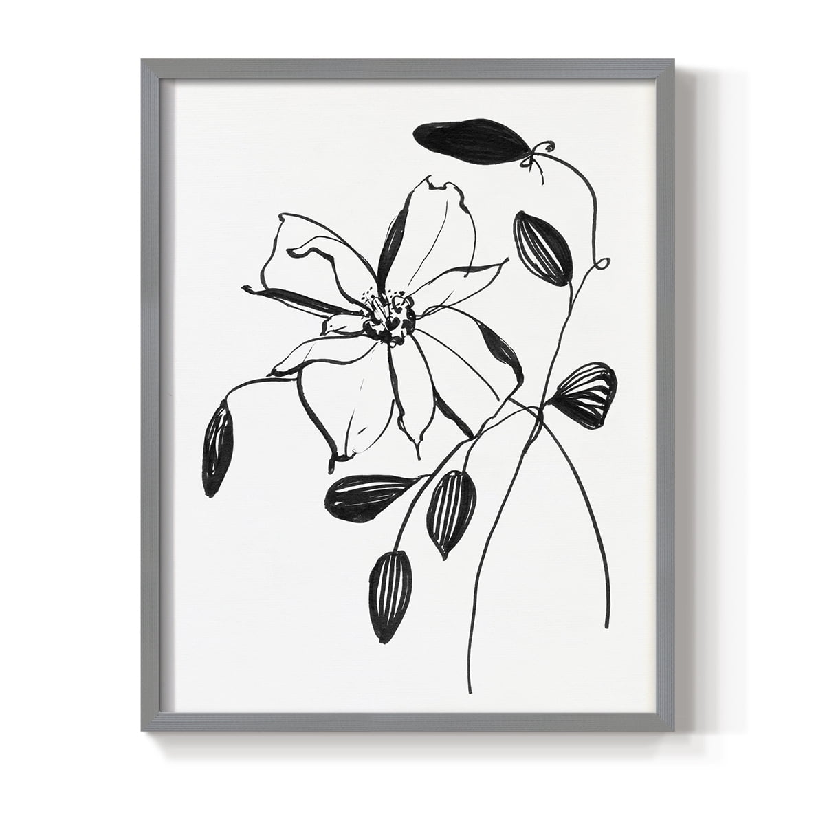 Wild Clematis II Framed Print in Gray Solid Wood 16 x 20 Framed Print