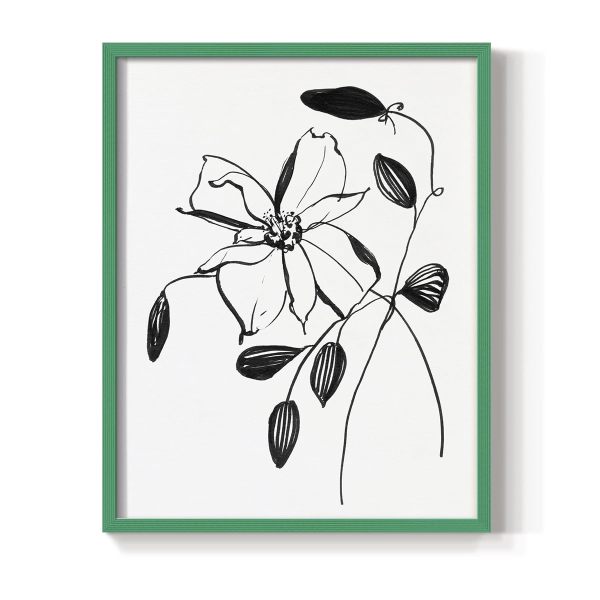 Wild Clematis II Framed Print in Green Solid Wood 8 x 10 Framed Print