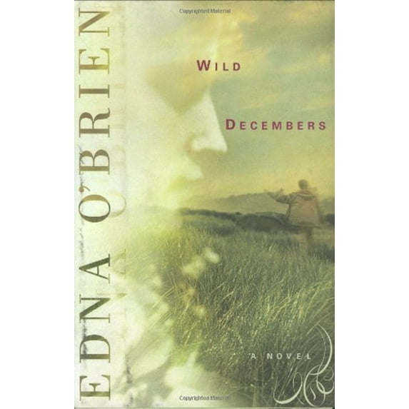 Pre-Owned Wild Decembers (Hardcover) 0618045678 9780618045679