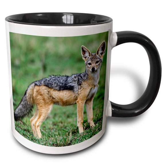 3drose, Wild Dog, Black-backed Jackal, Masai Mara, Kenya-af21 Aje0175 - Adam Jones, 11oz Two-tone Black Mug
