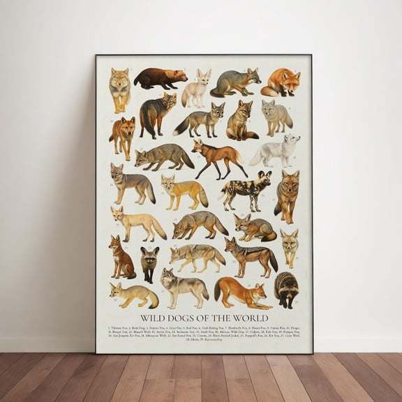 Wild Dogs Of The World Poster, Animal Identification Chart, Unframed Paper Poster 8x10in