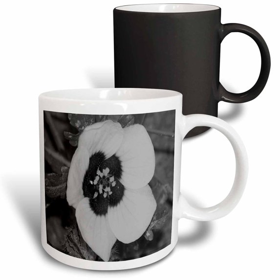 3drose, Wild Flower Black N White, 11oz Magic Transforming Mug