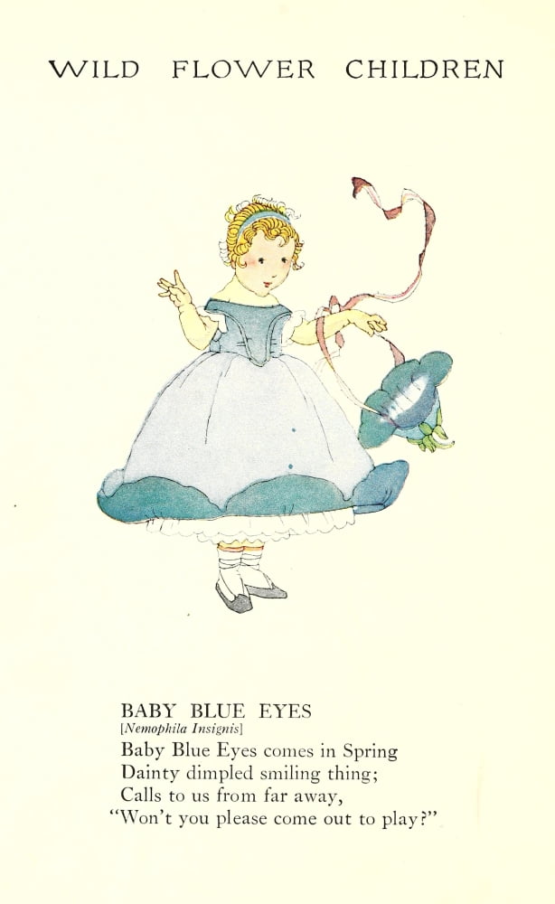 Wild Flower Children c1918 Baby Blue Eyes Canvas Art - Janet Laura Scott (18 x 24)