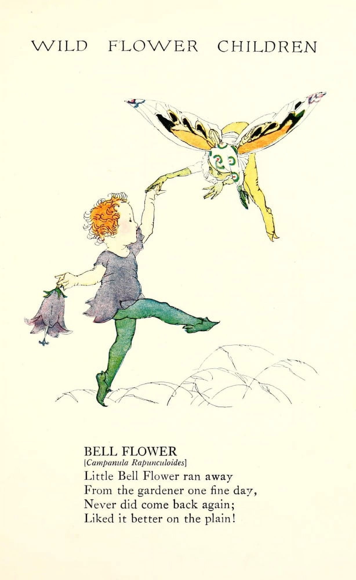 Wild Flower Children c1918 Bell Flower Canvas Art - Janet Laura Scott (18 x 24)