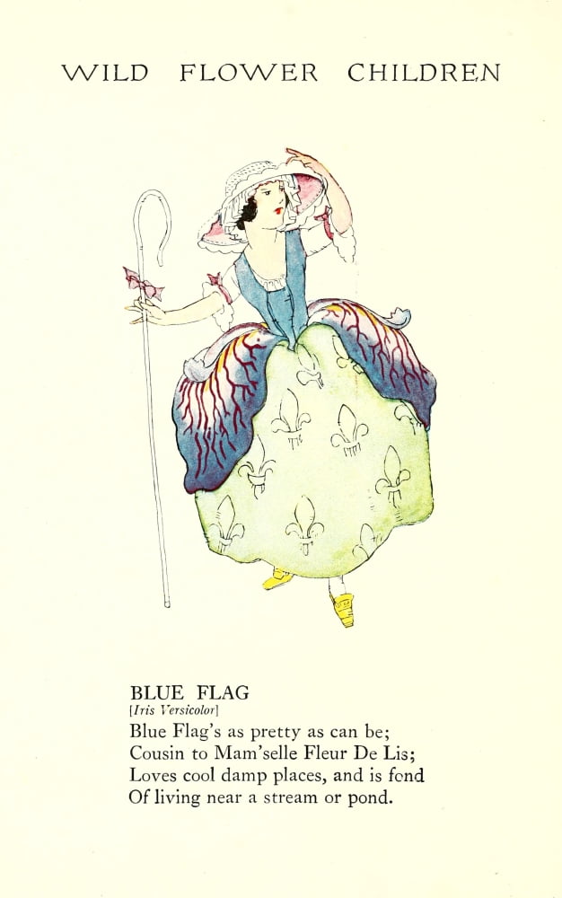 Wild Flower Children c1918 Blue Flag Canvas Art - Janet Laura Scott (18 x 24)