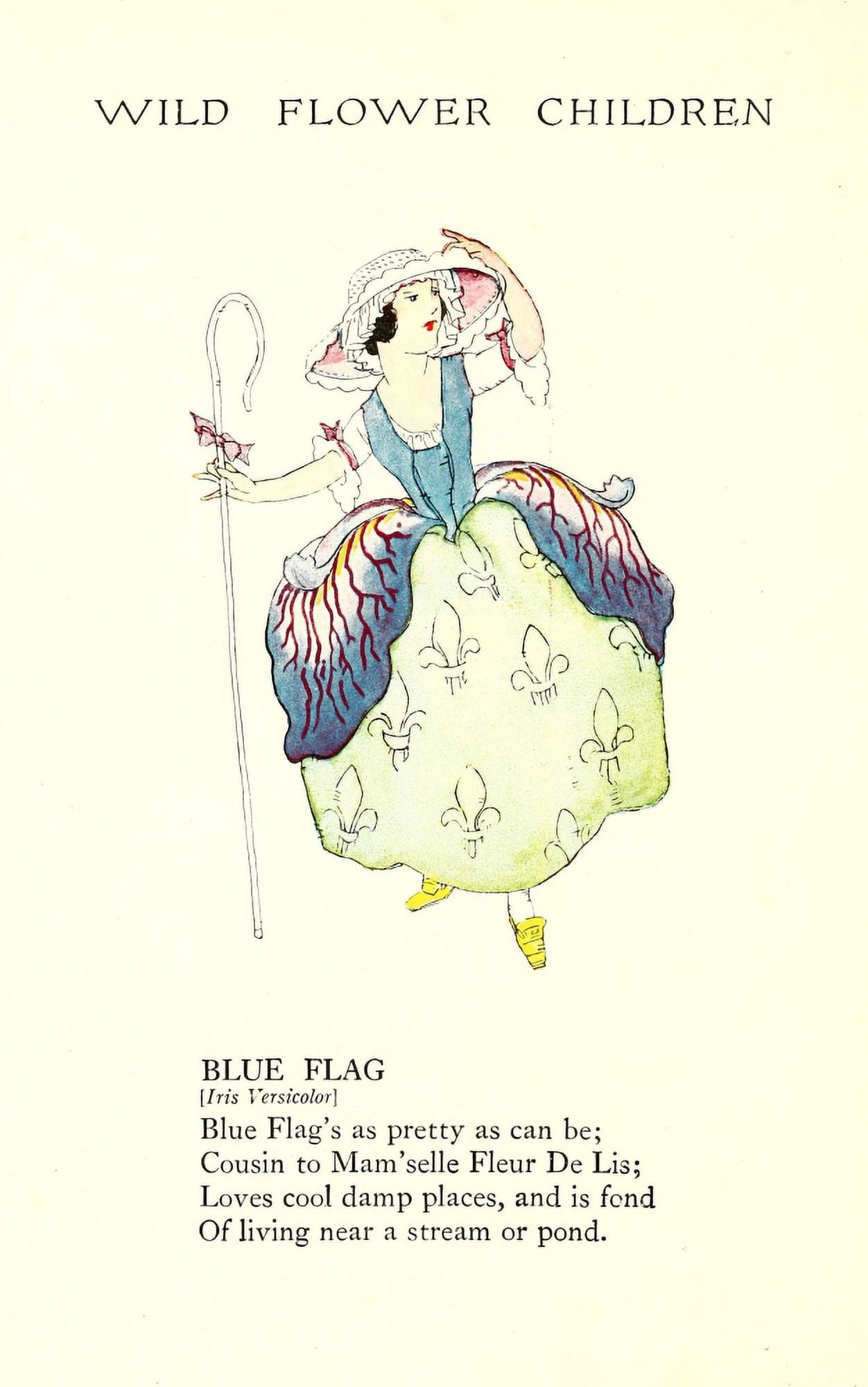 Wild Flower Children c1918 Blue Flag Canvas Art - Janet Laura Scott (24 x 36)