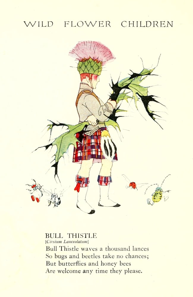 Wild Flower Children c1918 Bull Thistle Canvas Art - Janet Laura Scott (18 x 24)