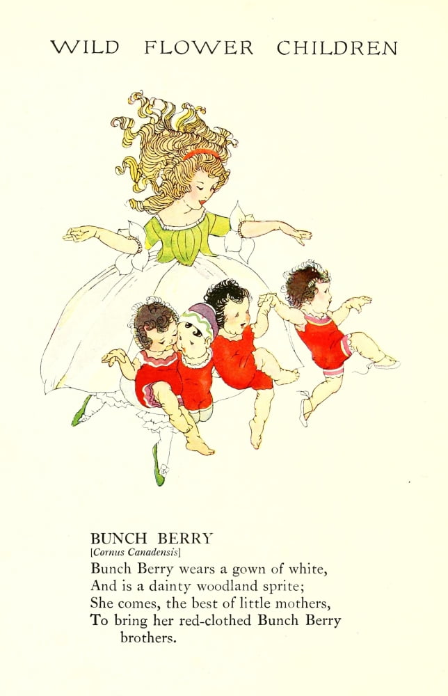 Wild Flower Children c1918 Bunch Berry Canvas Art - Janet Laura Scott (18 x 24)