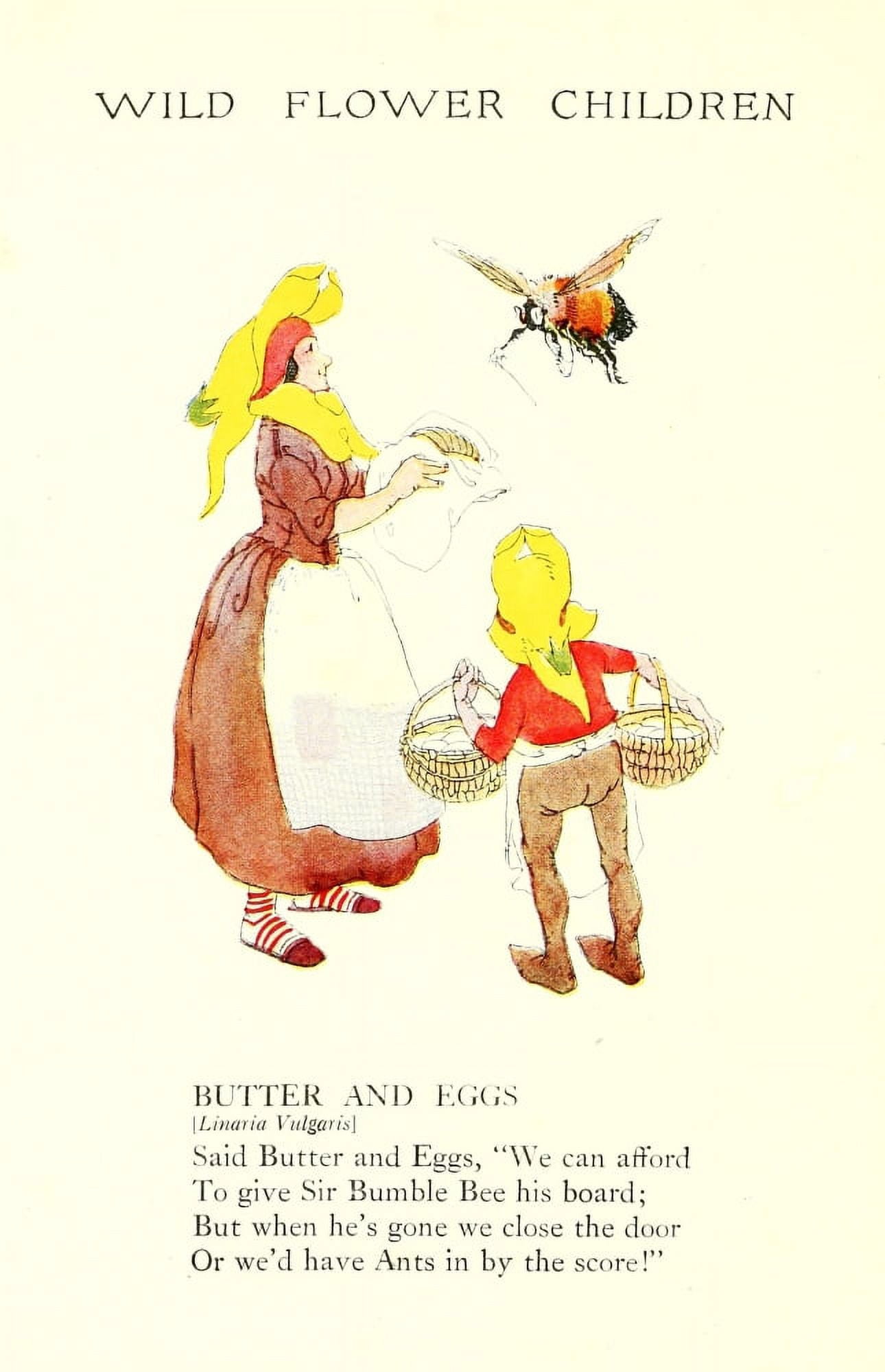 Wild Flower Children c1918 Butter & Eggs Canvas Art - Janet Laura Scott (18 x 24)