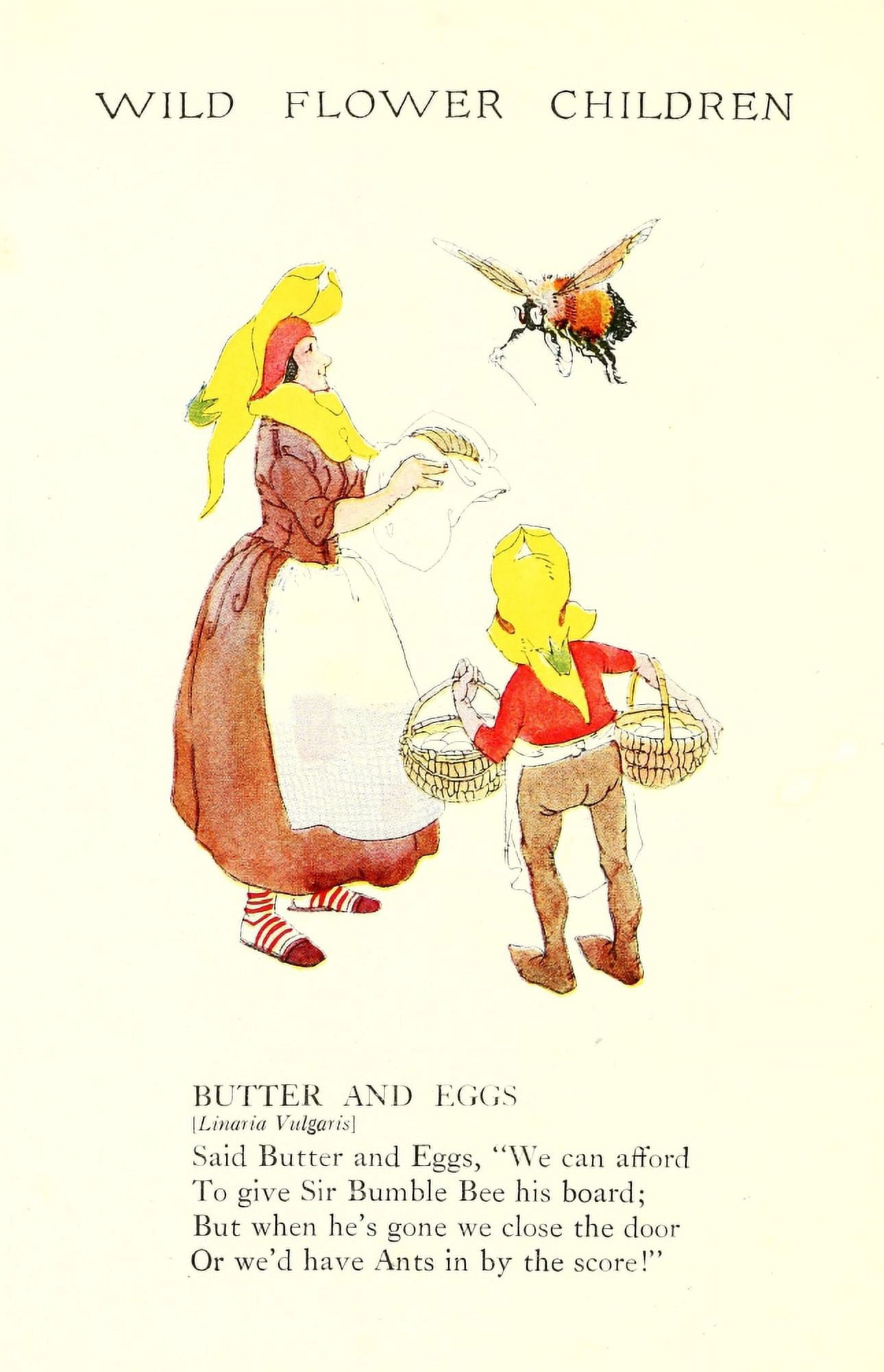 Wild Flower Children c1918 Butter & Eggs Canvas Art - Janet Laura Scott (24 x 36)