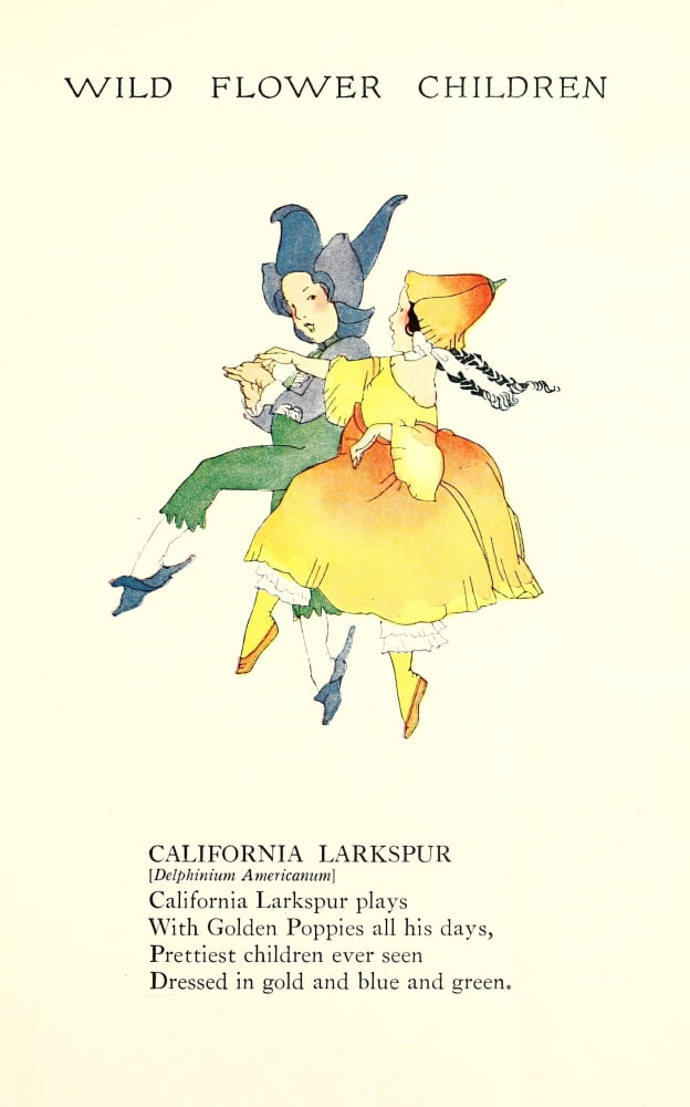 Wild Flower Children c1918 California Larkspur Canvas Art - Janet Laura Scott (24 x 36)