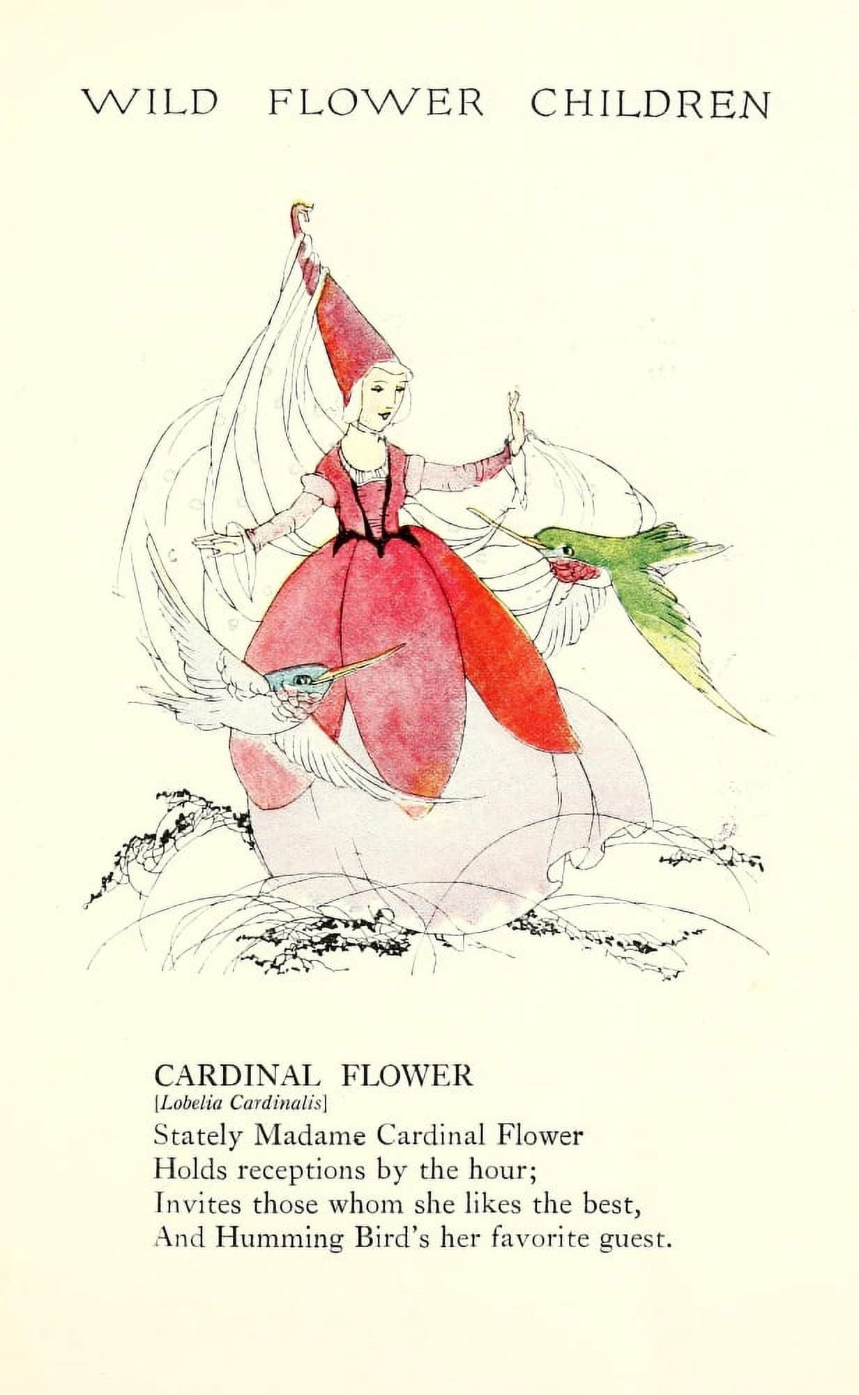 Wild Flower Children c1918 Cardinal Flower Canvas Art - Janet Laura Scott (24 x 36)