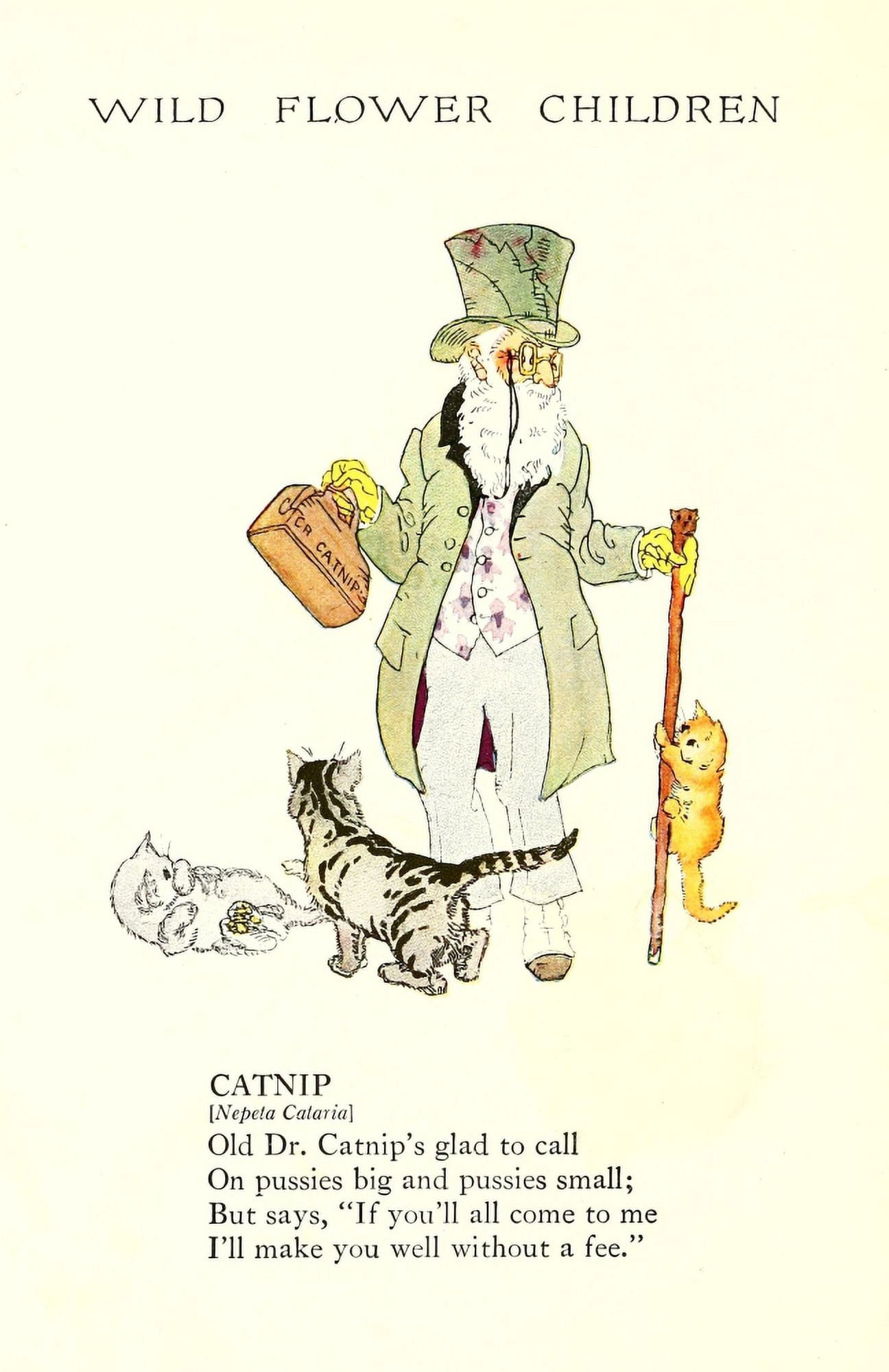 Wild Flower Children c1918 Catnip Canvas Art - Janet Laura Scott (18 x 24)