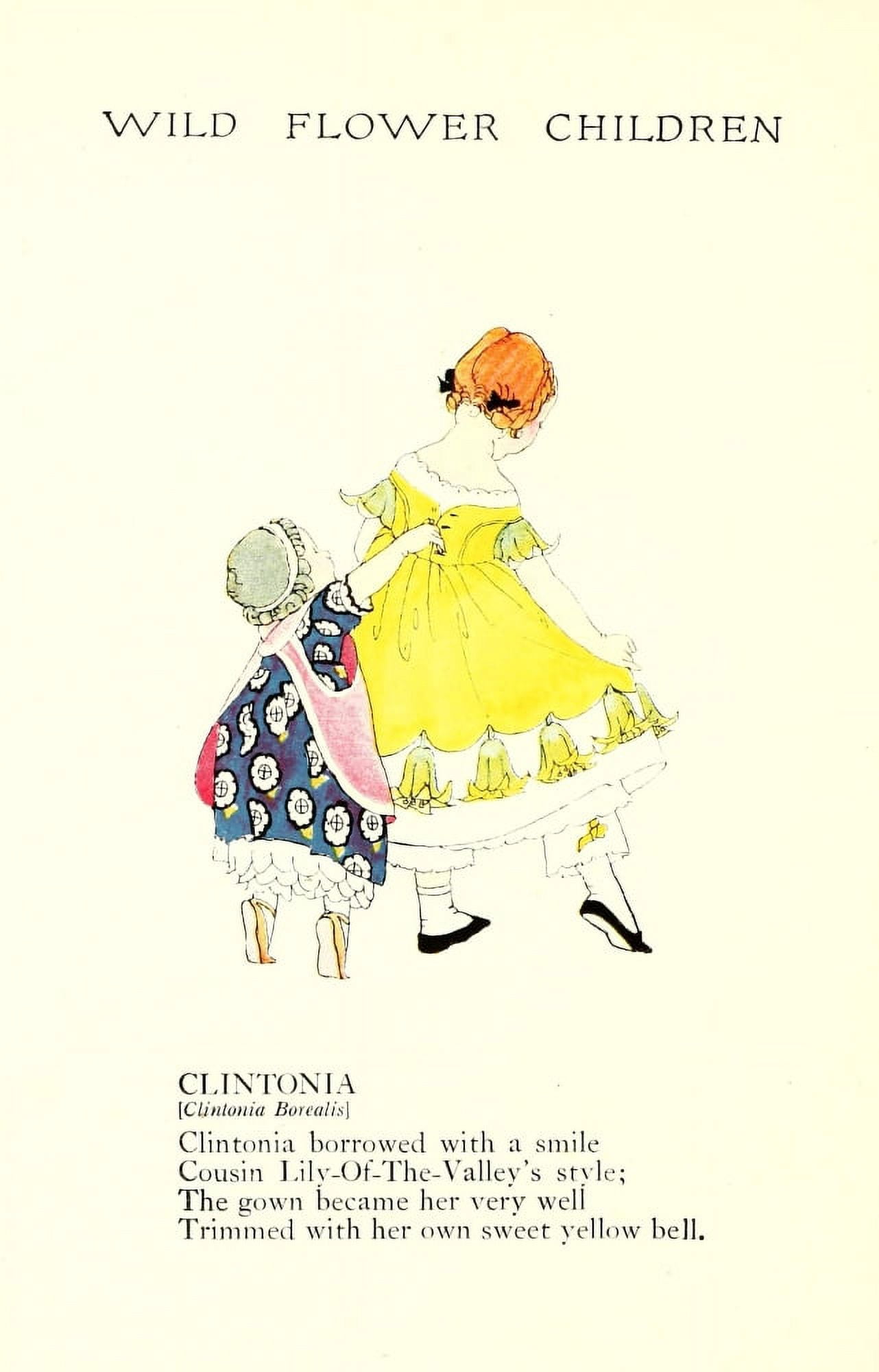 Wild Flower Children c1918 Clintonia Canvas Art - Janet Laura Scott (18 x 24)