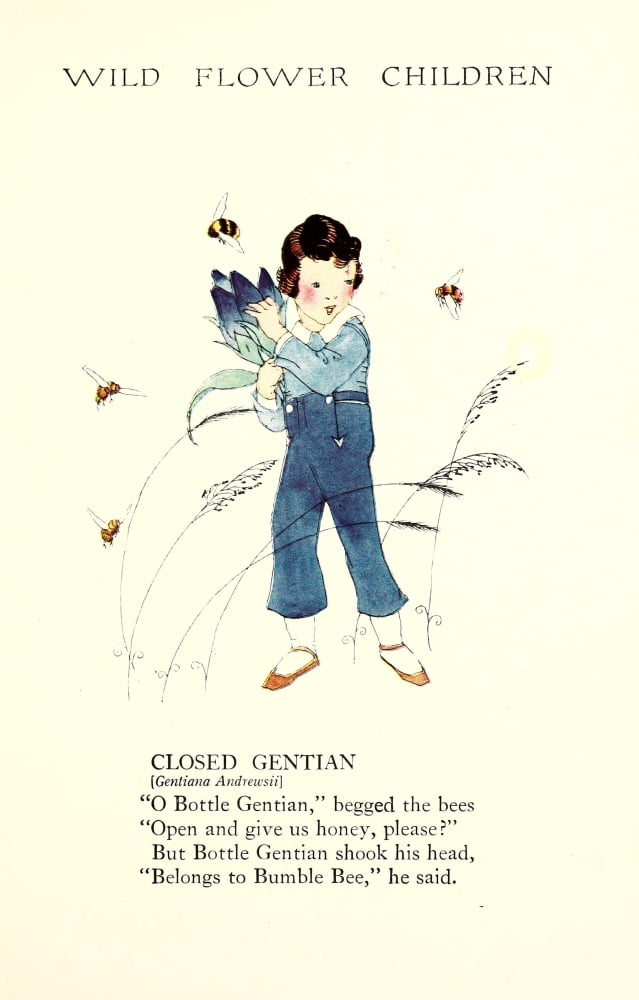 Wild Flower Children c1918 Closed Gentian Canvas Art - Janet Laura Scott (18 x 24)