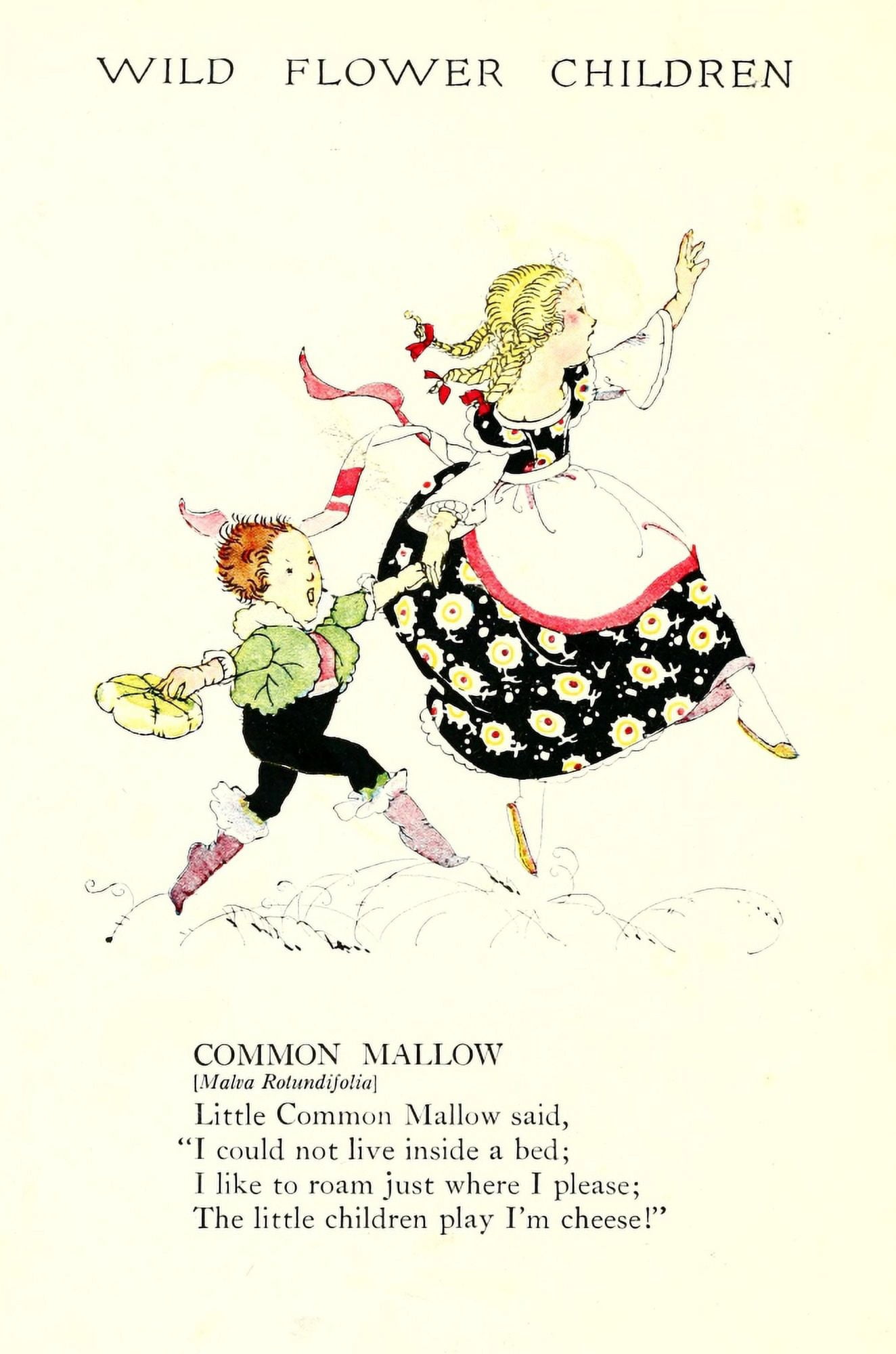 Wild Flower Children c1918 Common Mallow Canvas Art - Janet Laura Scott (18 x 24)